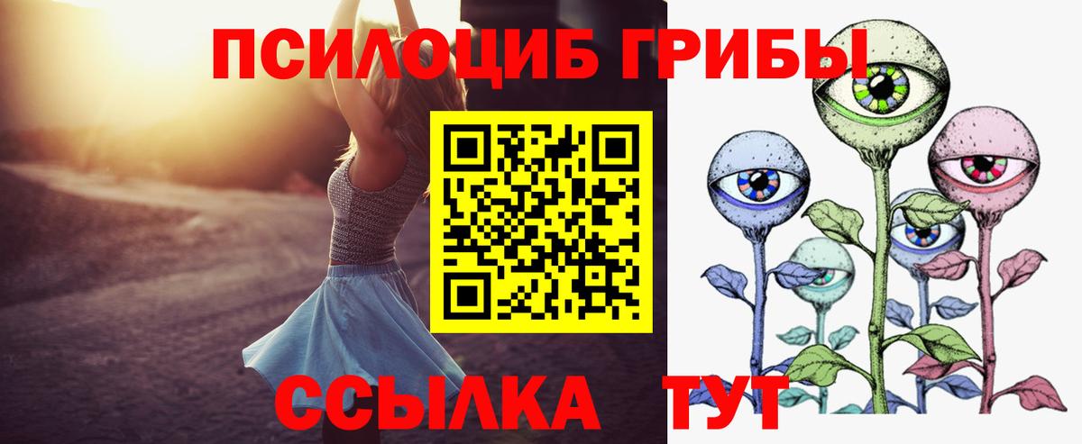 Вязьма  Псилоцибиновые грибы MAGIC MUSHROOMS  где купить наркоту  Вход с VPN 